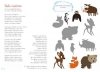 Do góry nogami. Multimedialne przedszkole z płytą CD 